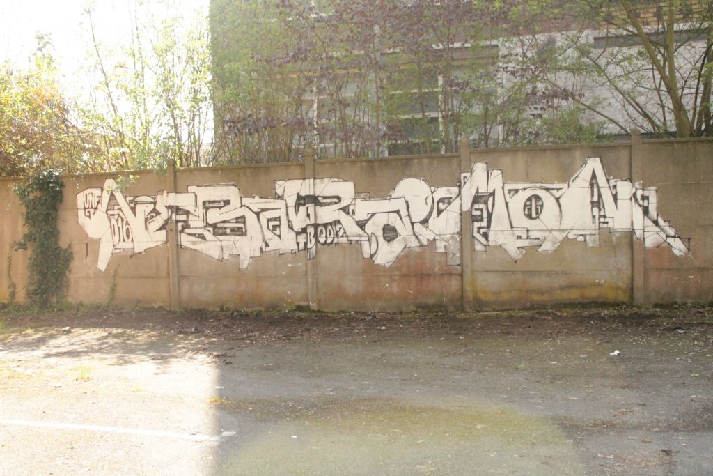 IMG 0326